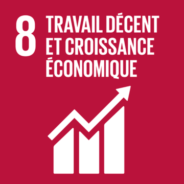 Syded - travail décent et croissance économique