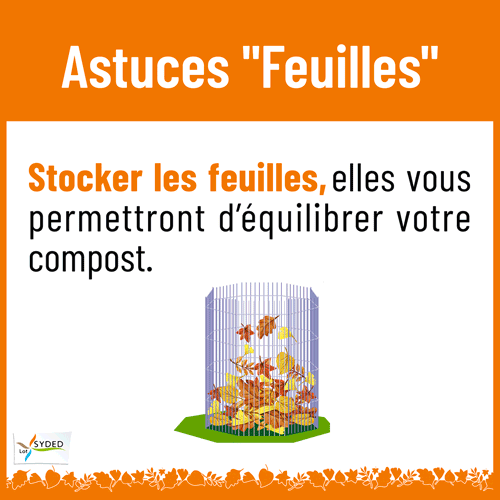 Astuces feuilles