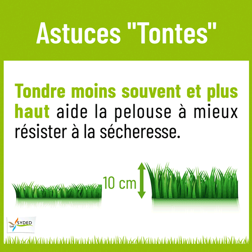 Astuces tontes