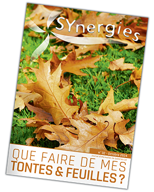 SYnergies n° 32